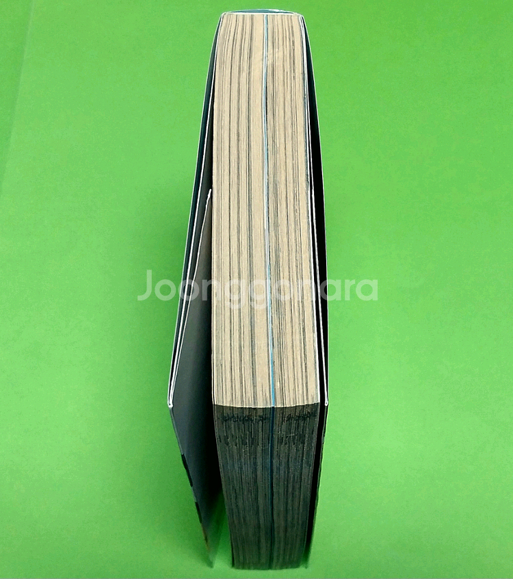 테니스의 왕자 팬북 20.5--5