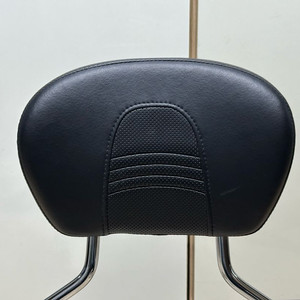 할리데이비슨 텐덤 등받이