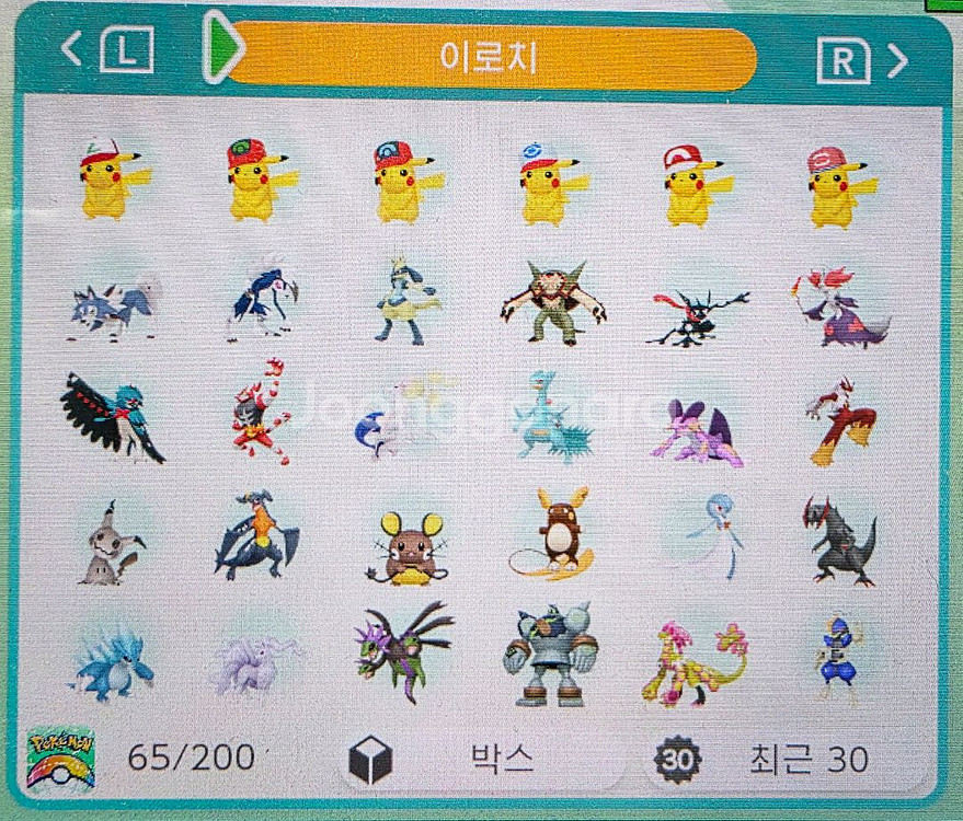 포켓몬 이로치 분양(전설, 환상, 일반)--4