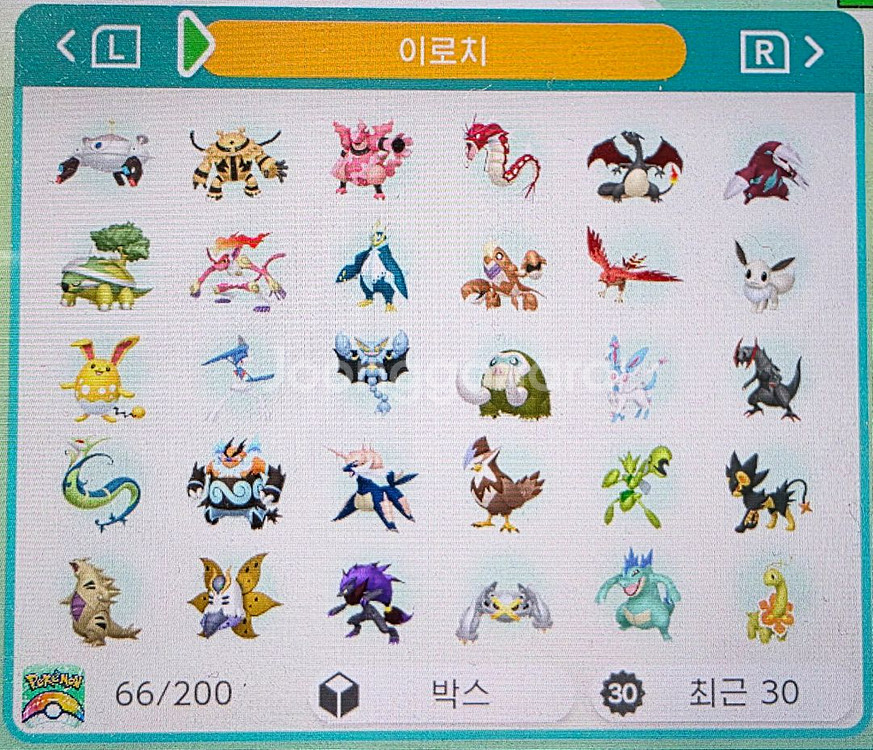 포켓몬 이로치 분양(전설, 환상, 일반)--5