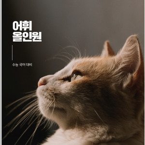 메가스터디 전형태 수능 국어 어휘올인원,시다끝다 교재