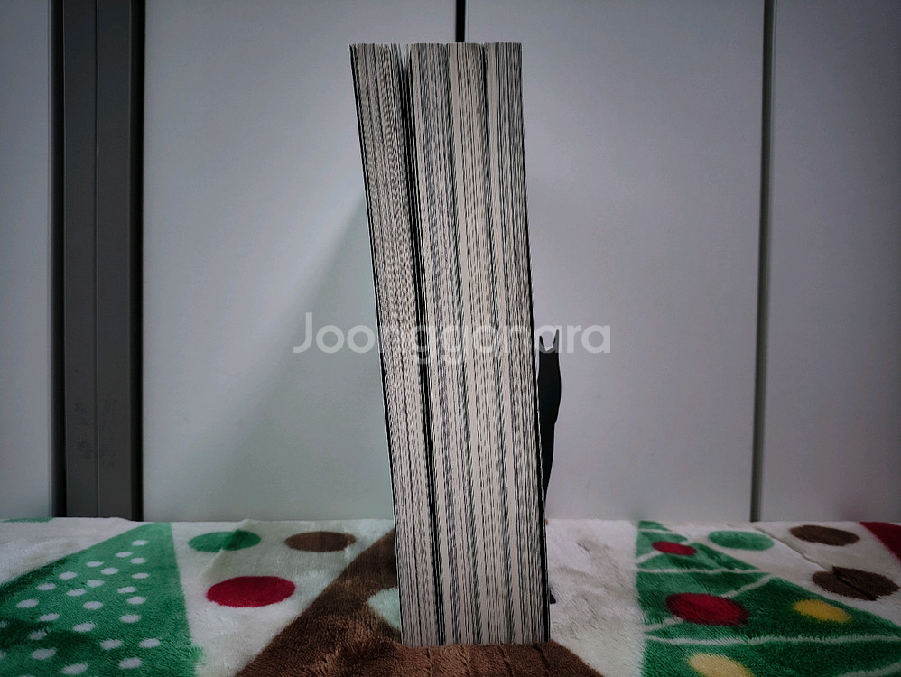 (만화) 클로버 (1~4) [클램프] (총 4권, 완결)--3