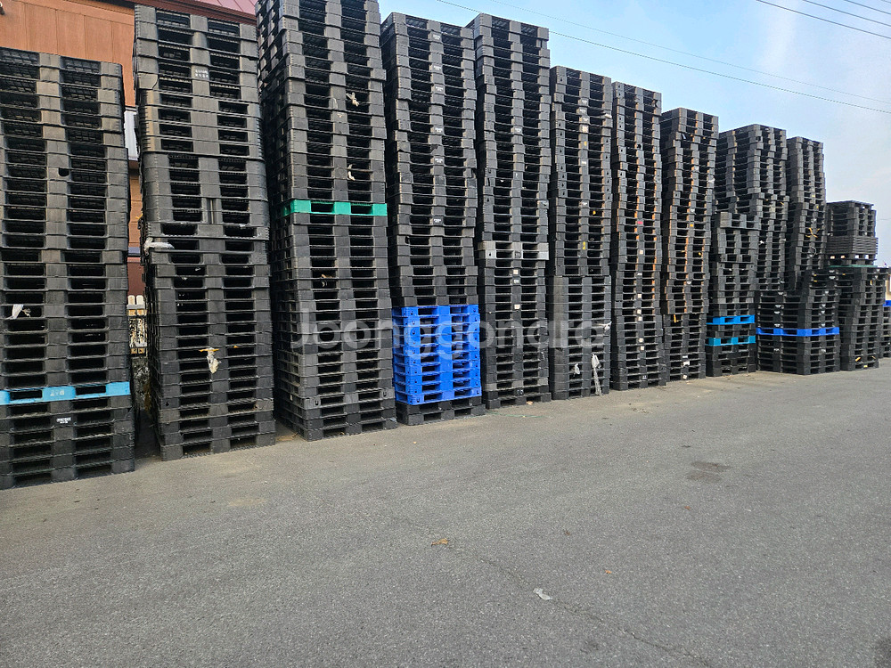 플라스틱 파렛트--0