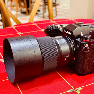 파나소닉 루믹스 s5 카메라를 판매 합니다.