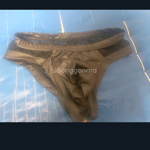 남성용 란제리 팬티 95사이즈
