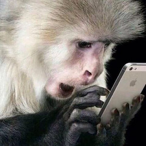 메이플랜드 두글자 닉네임 팝니당 ~~ 이미지