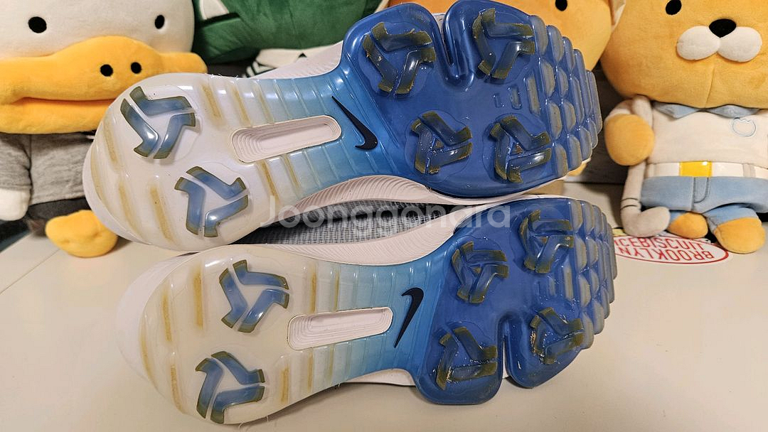 나이키골프 인피니티 투어 보아2 (265)--5