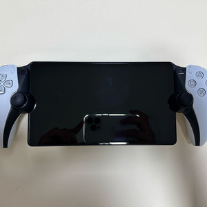 플스 포탈 국내정발 (박스풀)