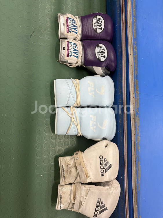 복싱 글러브 14온즈--0