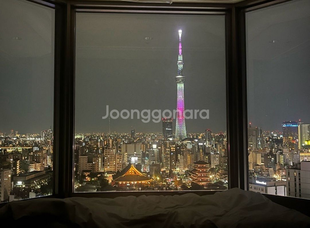 아사쿠사 뷰 호텔 / 이그지큐티브 스카이트리뷰 트윈 / 11/29-12/2 3박--1