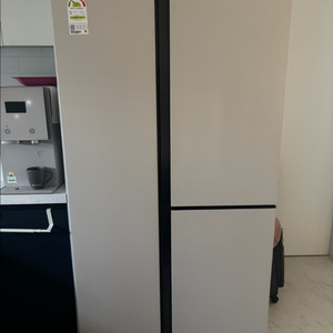 삼성 비스포크 4도어 냉장고 846L 코타화이트