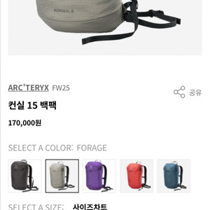 아크테릭스 컨실 15 백팩 포리지 새상품 정가양도