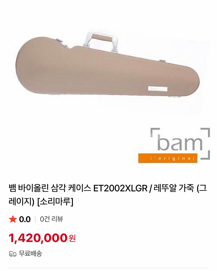 BAM바이올린케이스 레뚜왈 그레이지--0