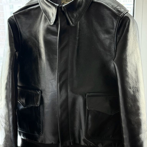 버즈릭슨 a-2 윌리엄깁슨 (38) BR80596