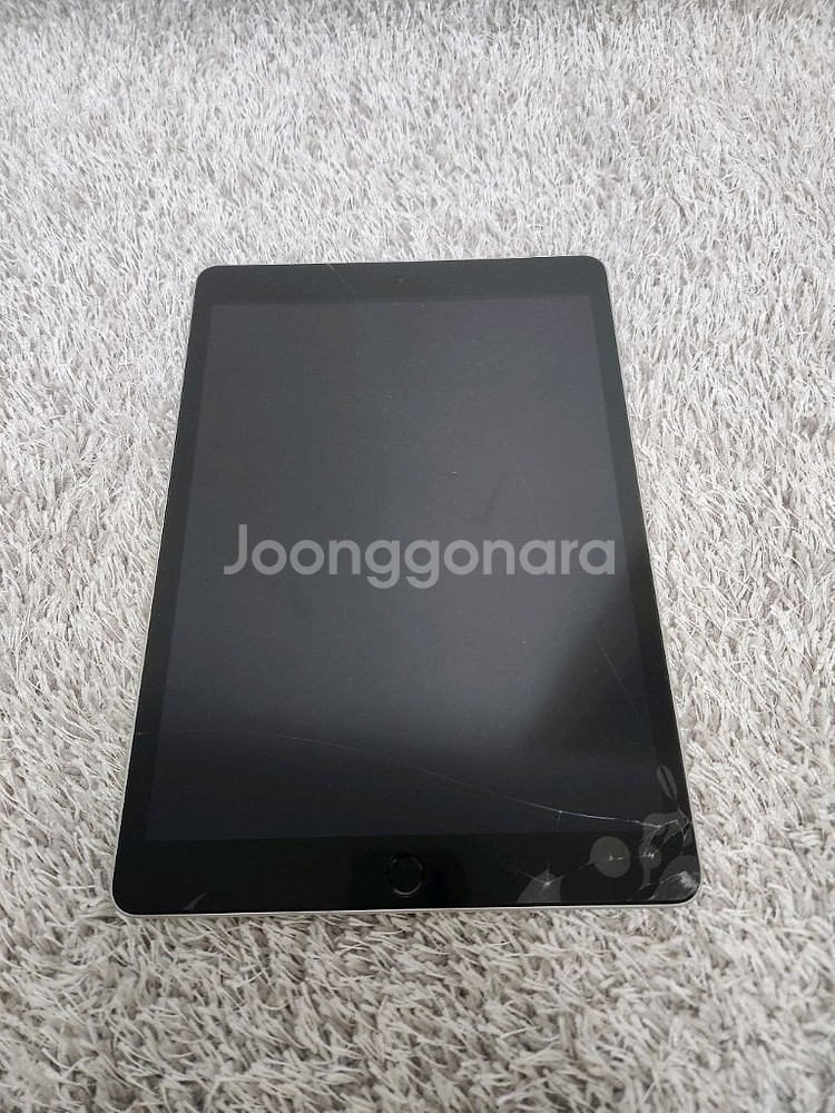 아이패드 9세대 64g + 짭플펜슬--1