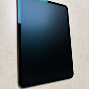 아이패드 프로 11인치 m4 나노텍스쳐 1tb wifi