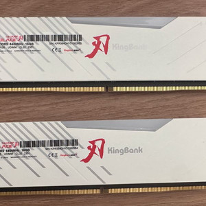 DDR5 6400MHz cl32 32GB 게이밍 메모리