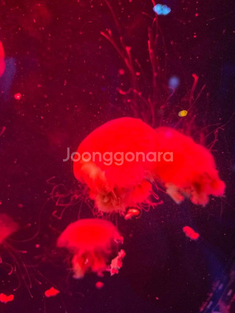 ㅇㅎㅅ님 택배--0