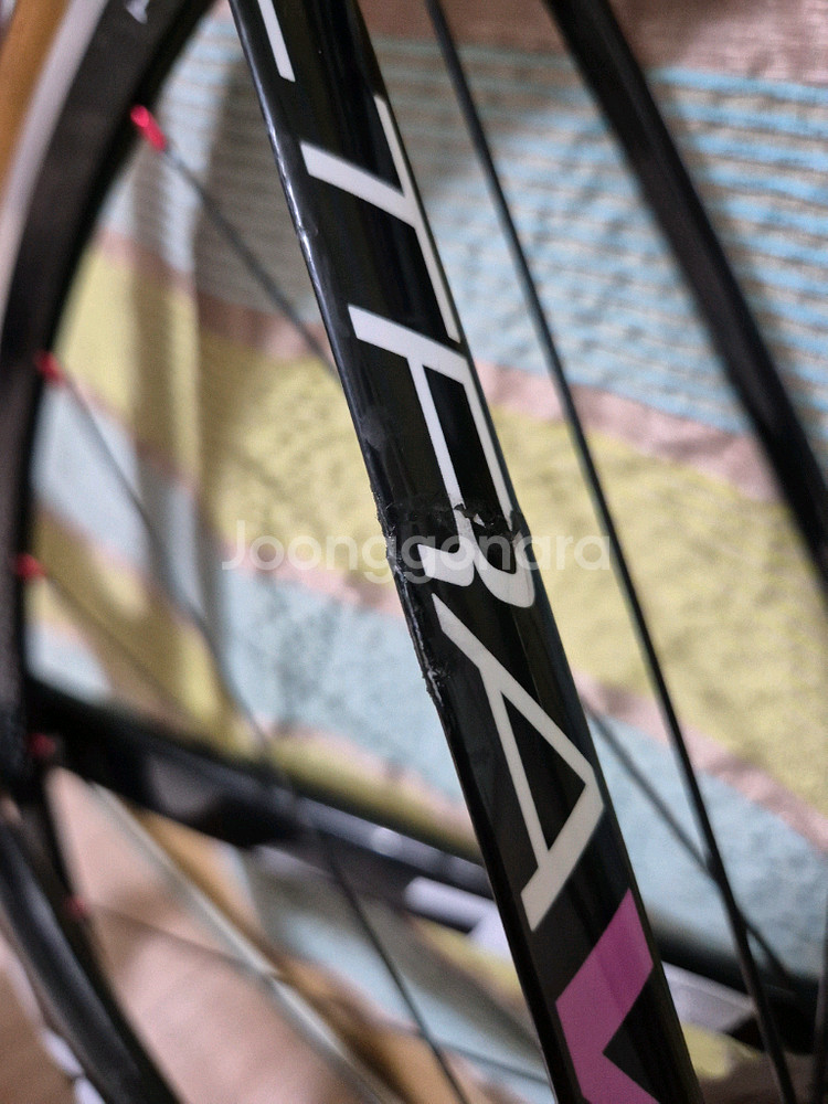 스위프트 울트라복스 Ti 2017 프레임셋--5