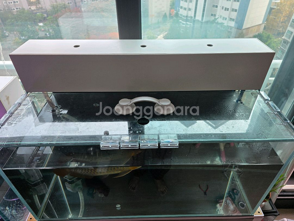 4자 어항 세트--3