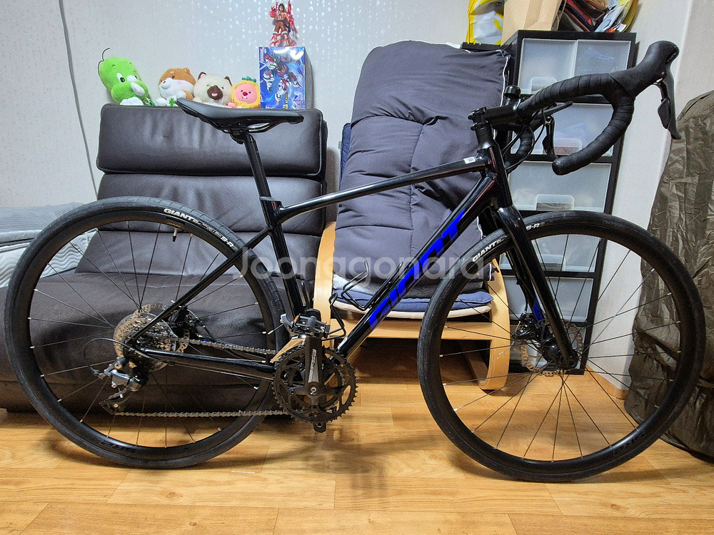 자이언트 컨텐드 AR4 카본 포크 로드 자전거 (스컬트라--6