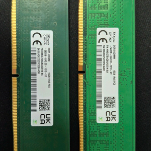 sk 하이닉스 DDR5 16gb 메모리 2개 세트 25년