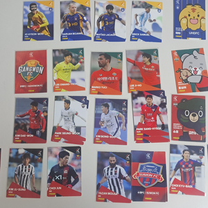 축구카드 컬렉션 세트