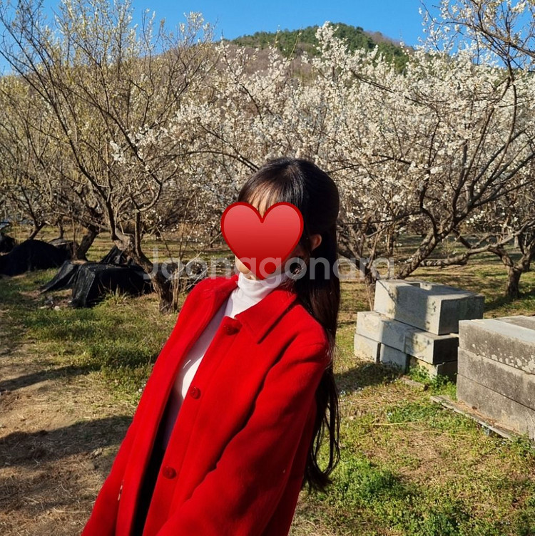 버버리 Burberry 레드 하프코트 반코트--3