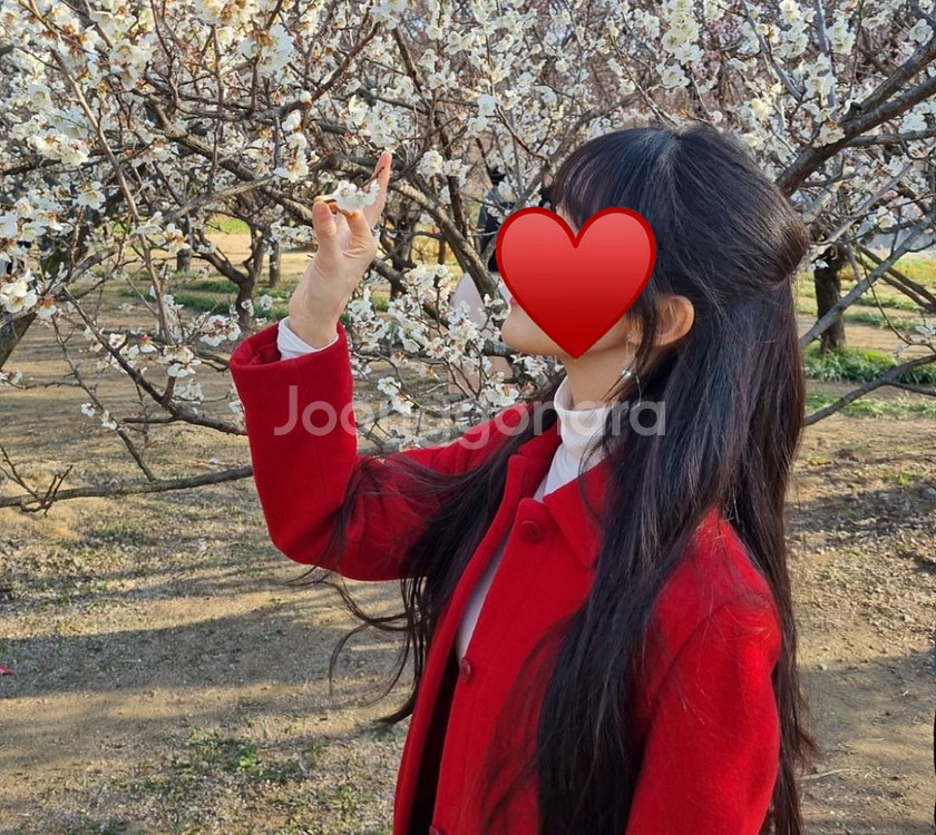 버버리 Burberry 레드 하프코트 반코트--5