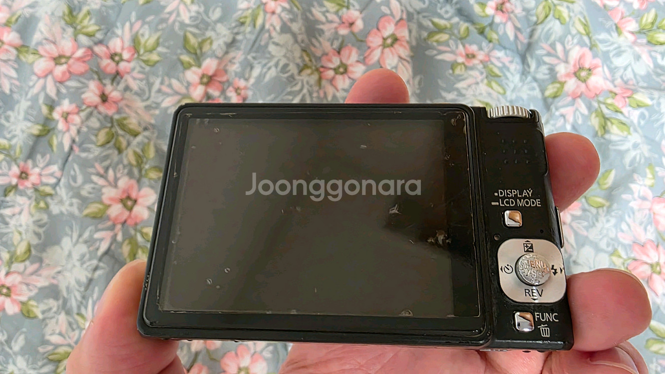 파나소닉 FX55GD 디지털카메라--2