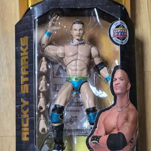 WWE AEW NXT 릭키 스탁스 피규어