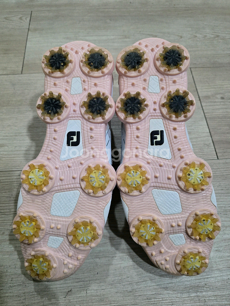 풋조이 투어 알파 보아골프화 235M 235mm--6