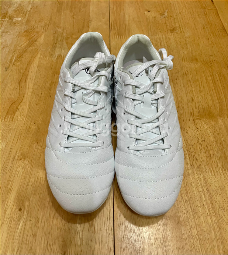 아슬레타 H5 MG 250--0