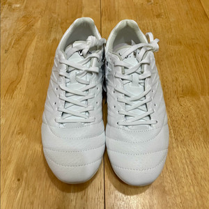 아슬레타 H5 MG 250