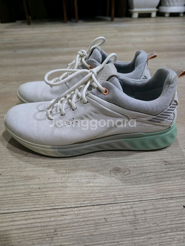 ECCO GOLF 스파이크리스 가죽골프화 36 225--0