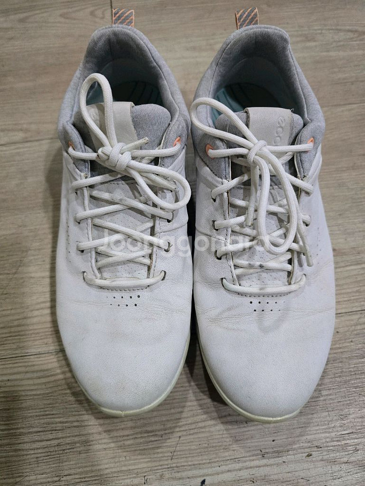 ECCO GOLF 스파이크리스 가죽골프화 36 225--1