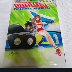 (일본 서적) 신세기 GPX 사이버 포뮬러 OVA 시리즈 컴플리트 파일