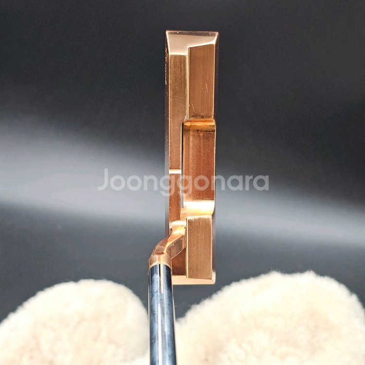 레이쿡 블루구스 골드 퍼터 황동퍼터 스카티카메론--3