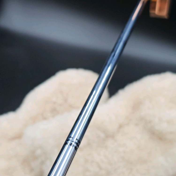 레이쿡 블루구스 골드 퍼터 황동퍼터 스카티카메론 이미지