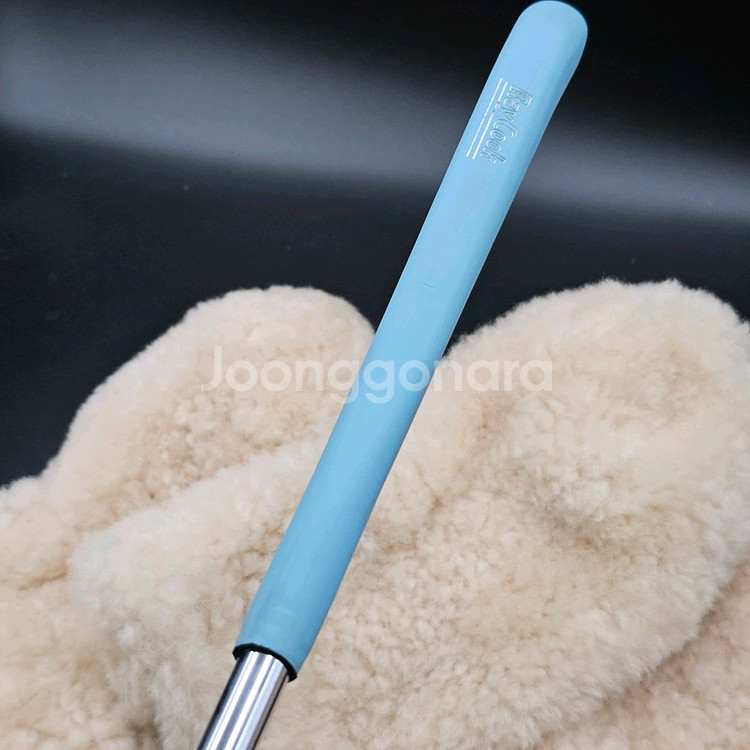 레이쿡 블루구스 골드 퍼터 황동퍼터 스카티카메론--8