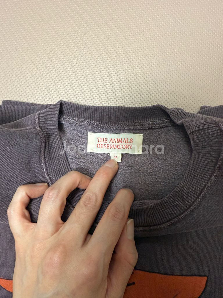 타오 기모 맨투맨 12y (루즈핏) 2개일괄--6