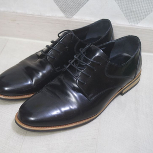 탠디 - 정품 구두 270