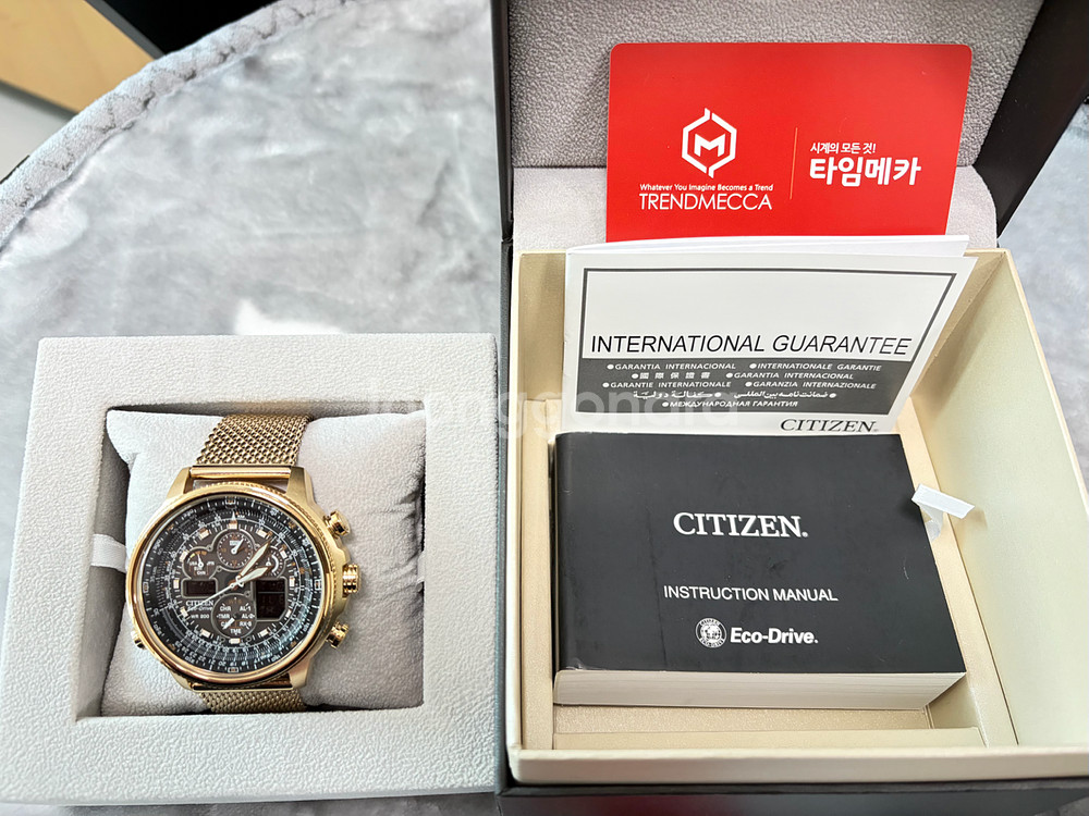 시티즌 에코드라이브 Promaster Navihawk A-T--1