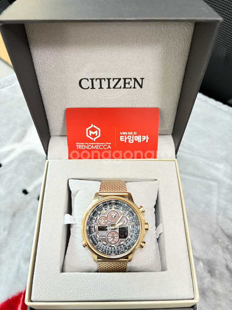 시티즌 에코드라이브 Promaster Navihawk A-T--0