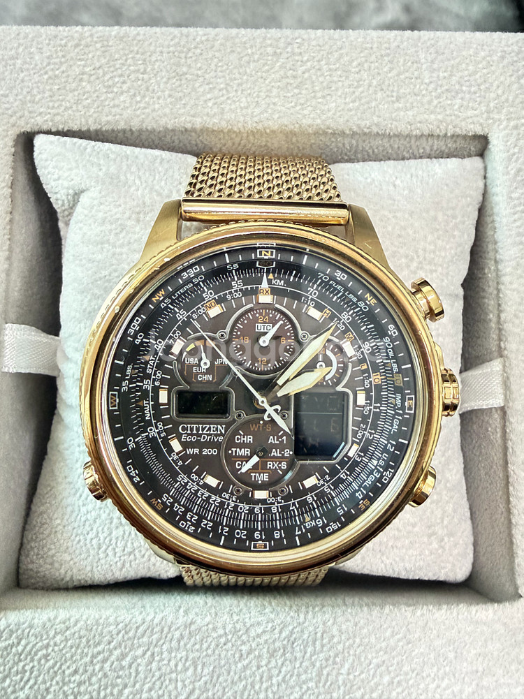 시티즌 에코드라이브 Promaster Navihawk A-T--2