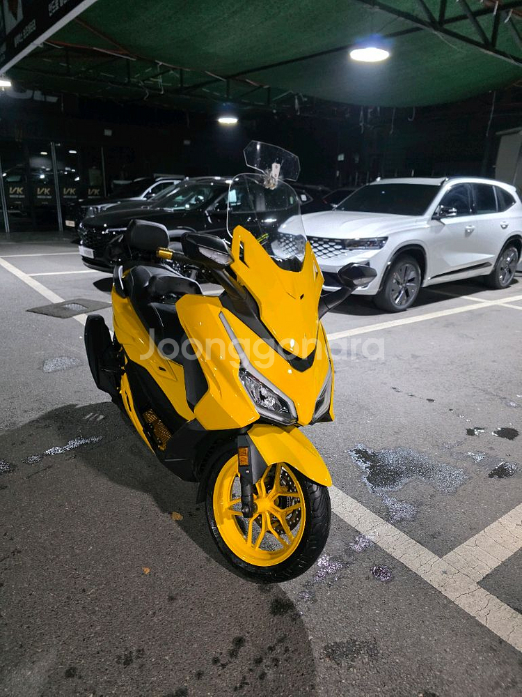 혼다 포르자350--0