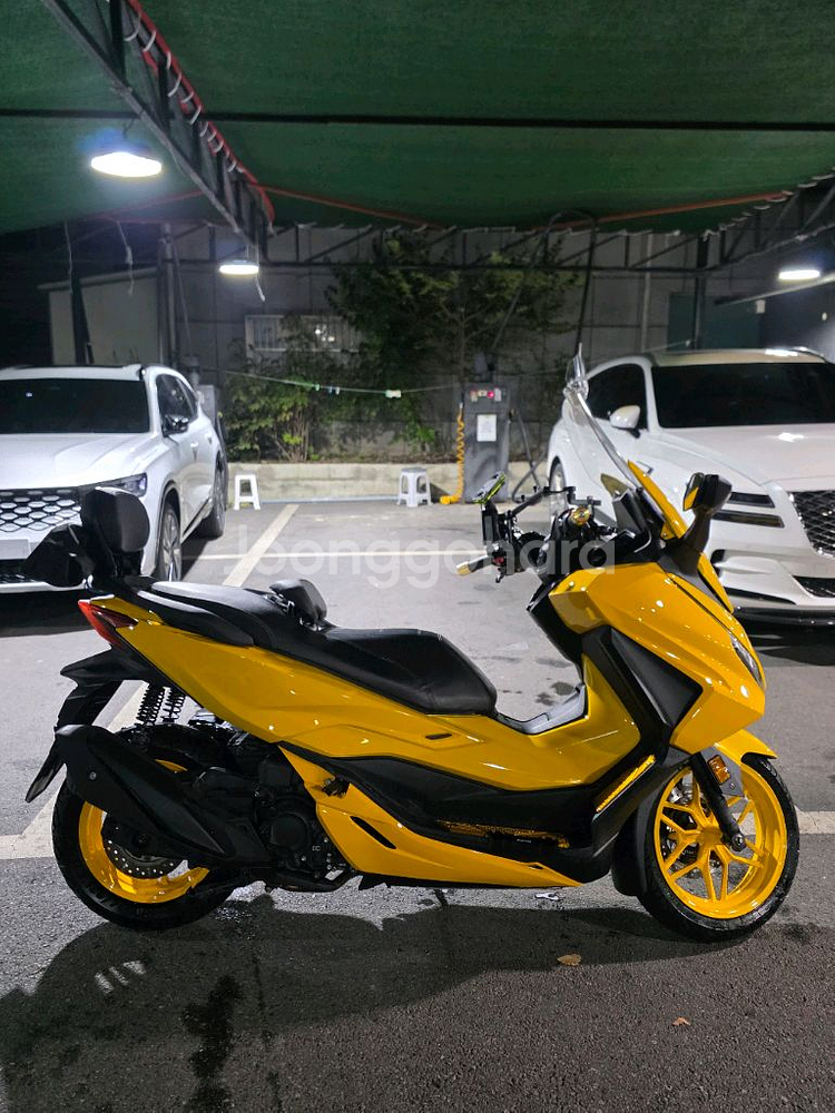 혼다 포르자350--1