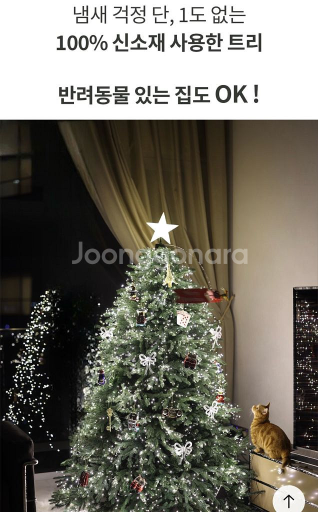 아보드 트리 190cm +전구 + 제이닷 오너먼트--6