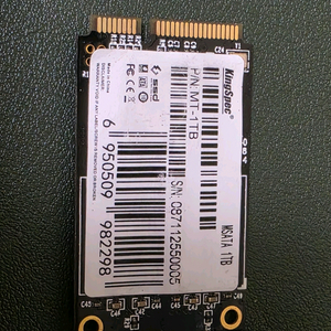 mSATA SSD 1TB