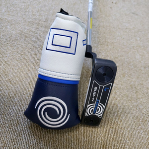 A+ 오딧세이 25년 AI-ONE #1퍼터 33인치 정품 E508020 이미지